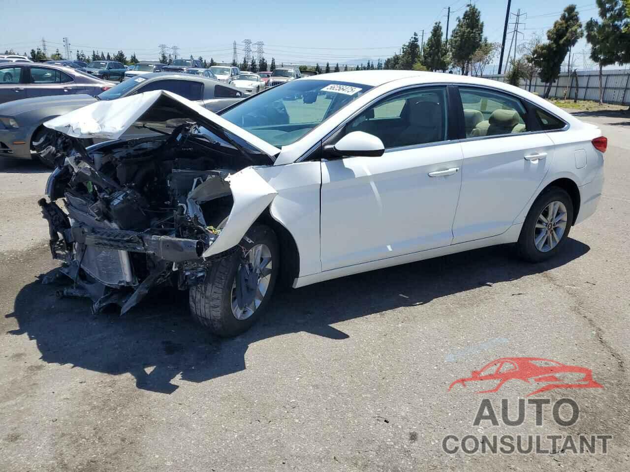 HYUNDAI SONATA 2017 - 5NPE24AF1HH561770