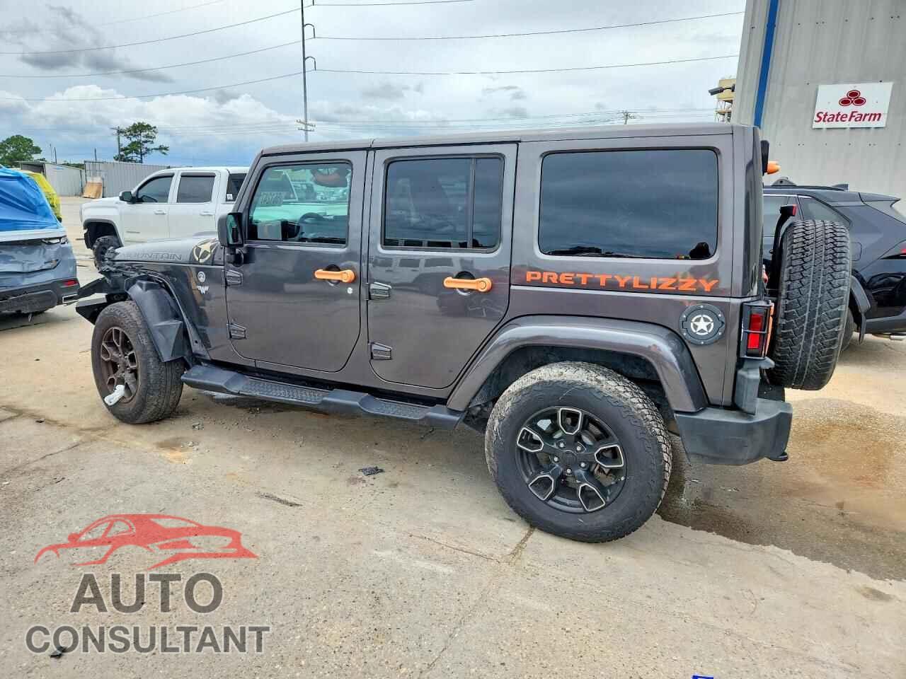 JEEP WRANGLER 2017 - 1C4BJWEG2HL653583