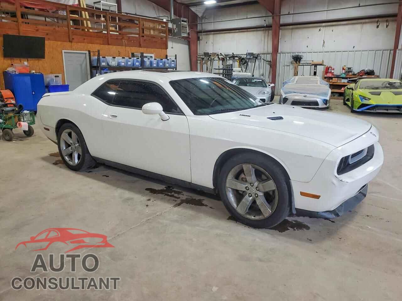 DODGE CHALLENGER 2009 - 2B3LJ54T29H510680