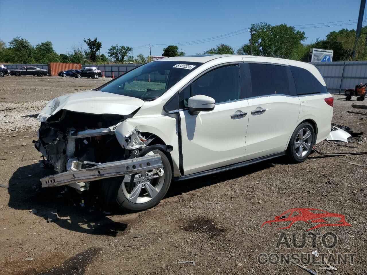 HONDA All Models 2019 - 5FNRL6H75KB057706
