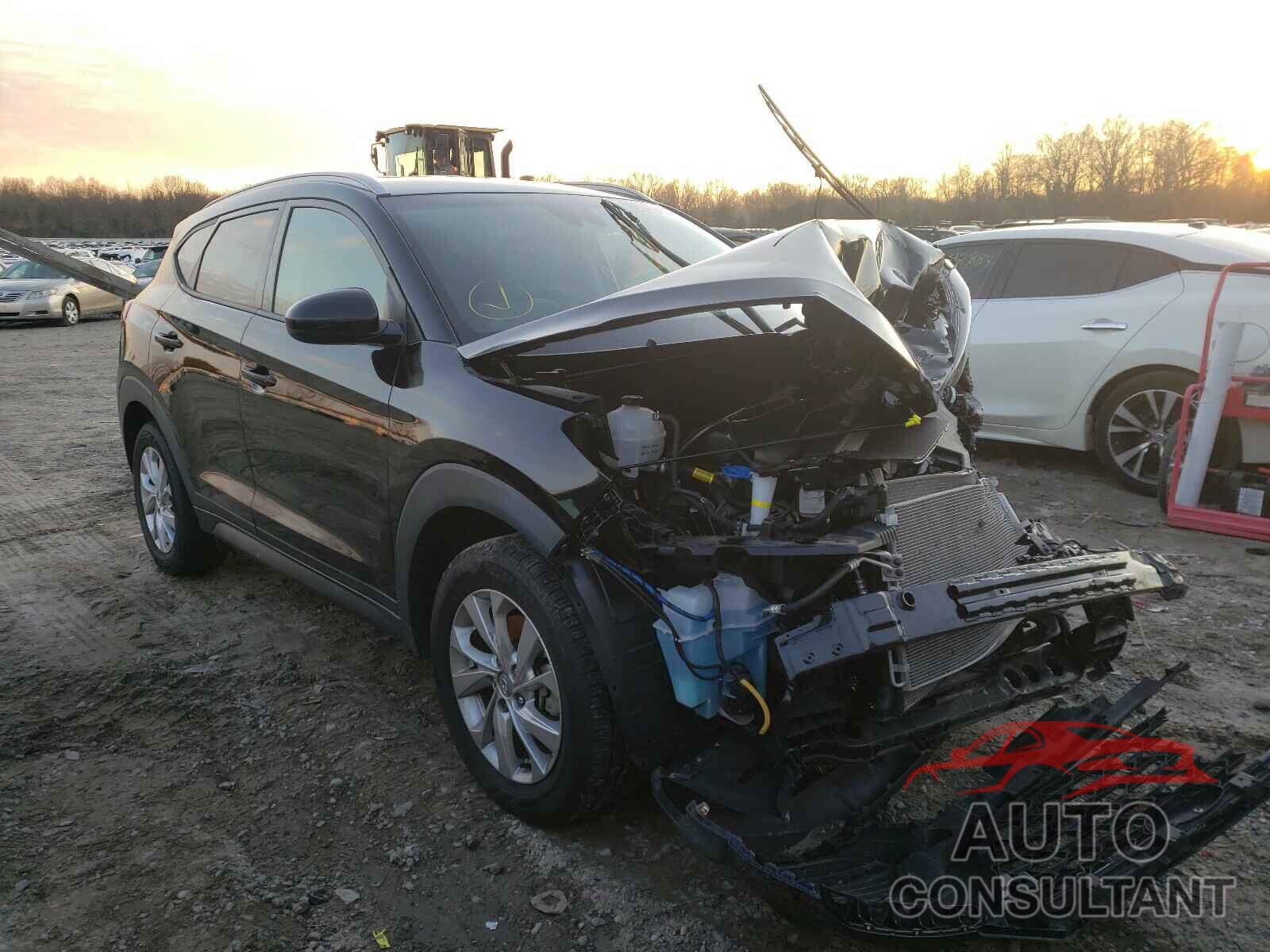 HYUNDAI TUCSON 2019 - KM8J33A48KU910534