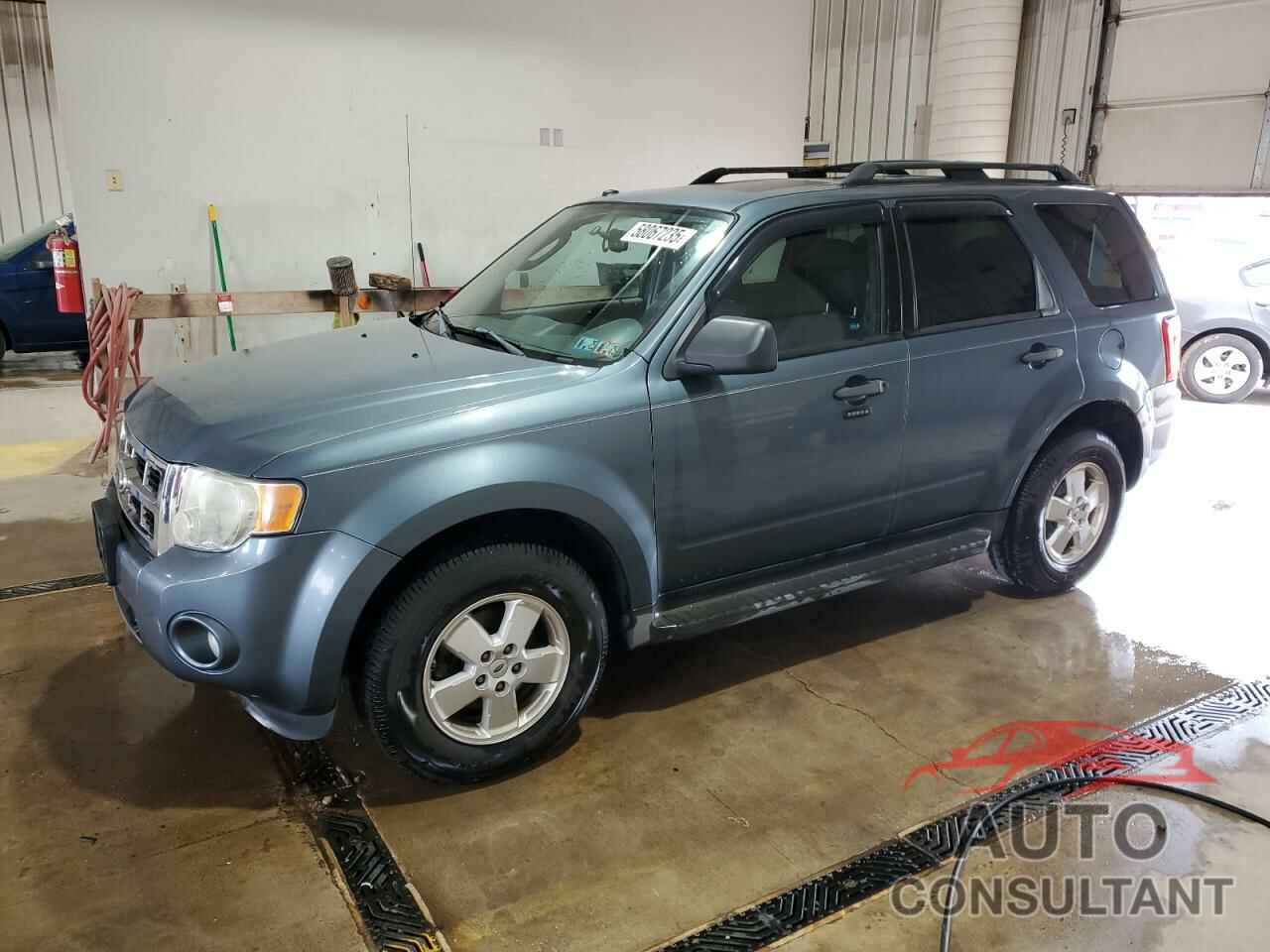 FORD ESCAPE 2011 - 1FMCU9DG1BKB00981