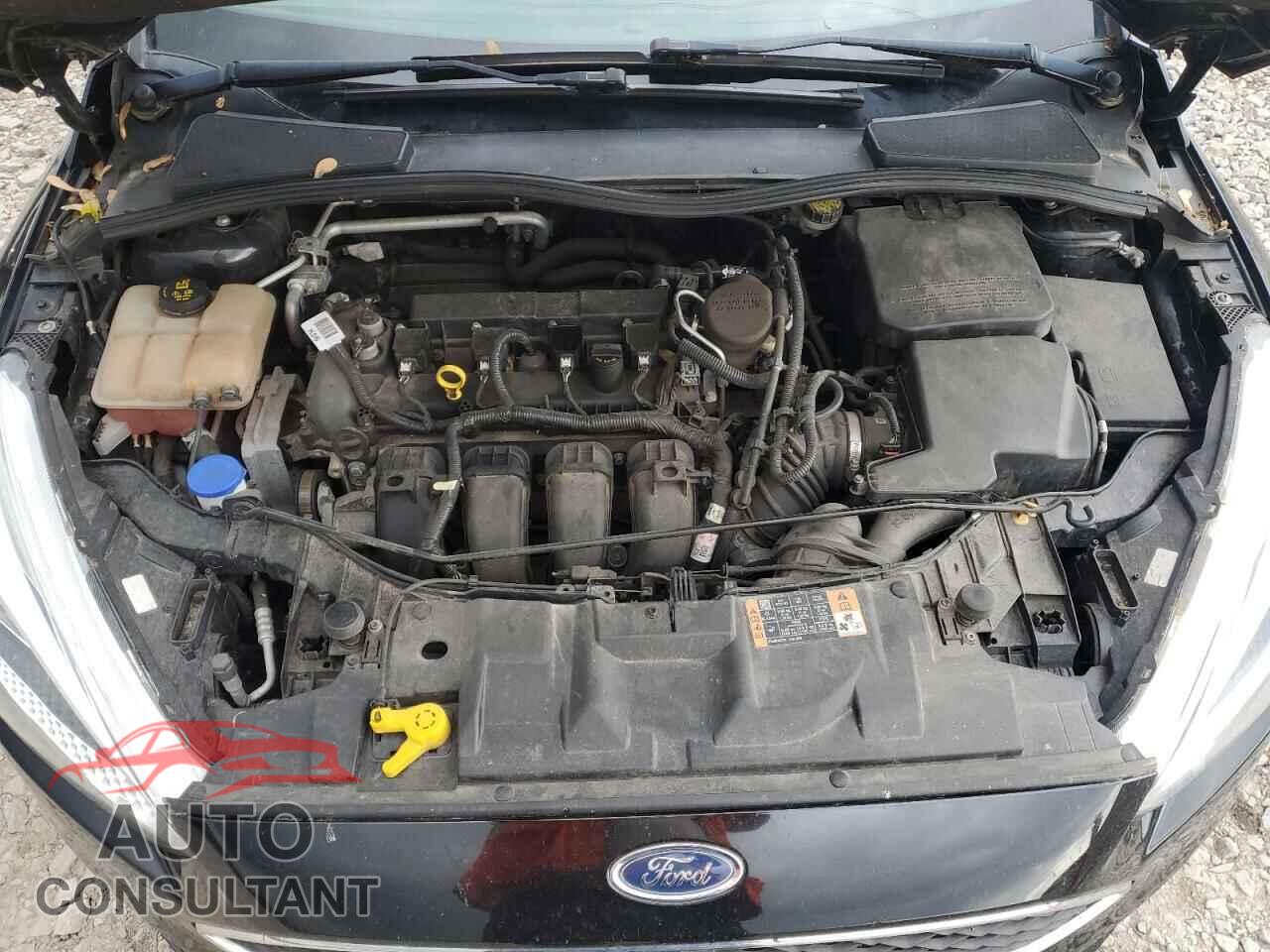 FORD FOCUS 2016 - 1FADP3K26GL288215