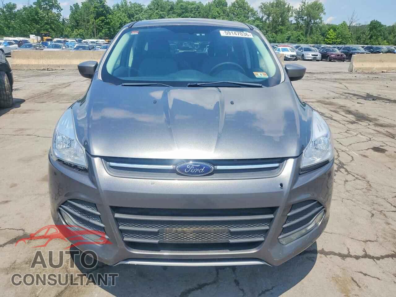 FORD ESCAPE 2014 - 1FMCU9GX3EUB20704