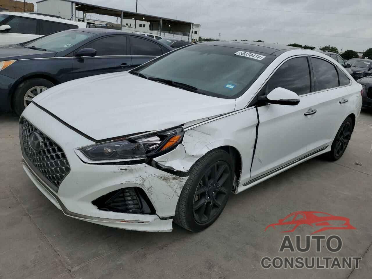 HYUNDAI SONATA 2019 - 5NPE34AB3KH748056