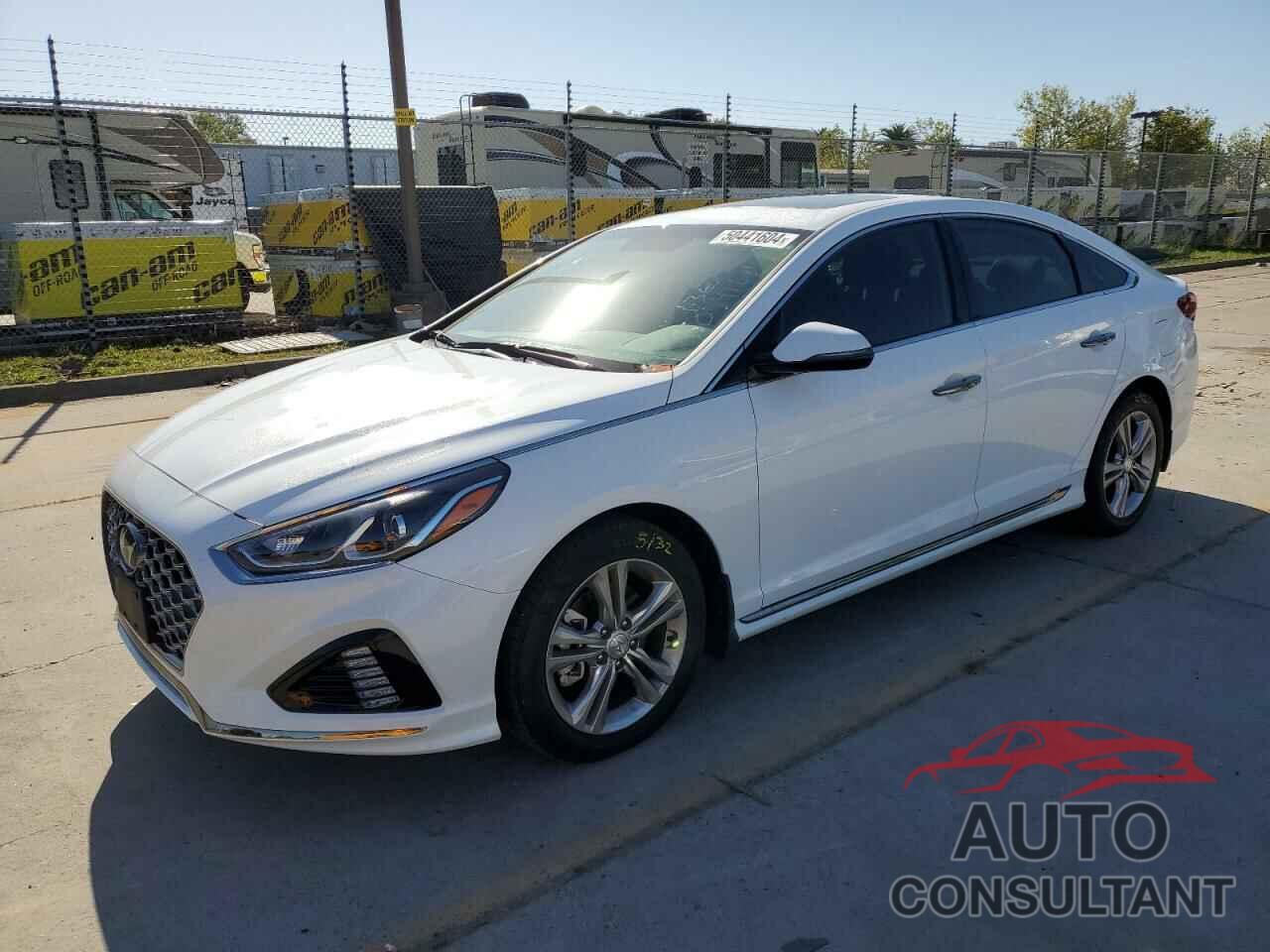 HYUNDAI SONATA 2019 - 5NPE34AF4KH814374