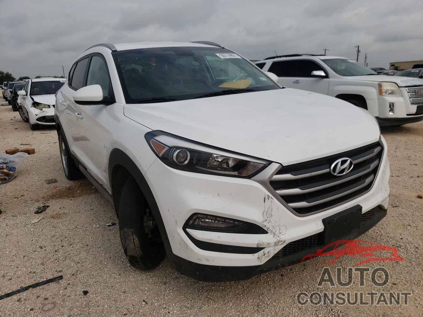 HYUNDAI TUCSON 2017 - KM8J33A43HU317866