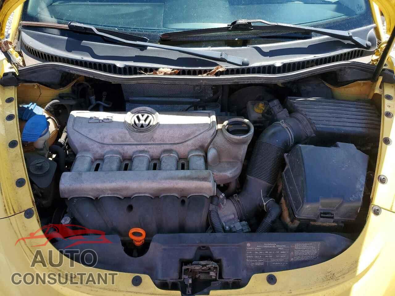 VOLKSWAGEN BEETLE 2009 - 3VWPW31CX9M500052