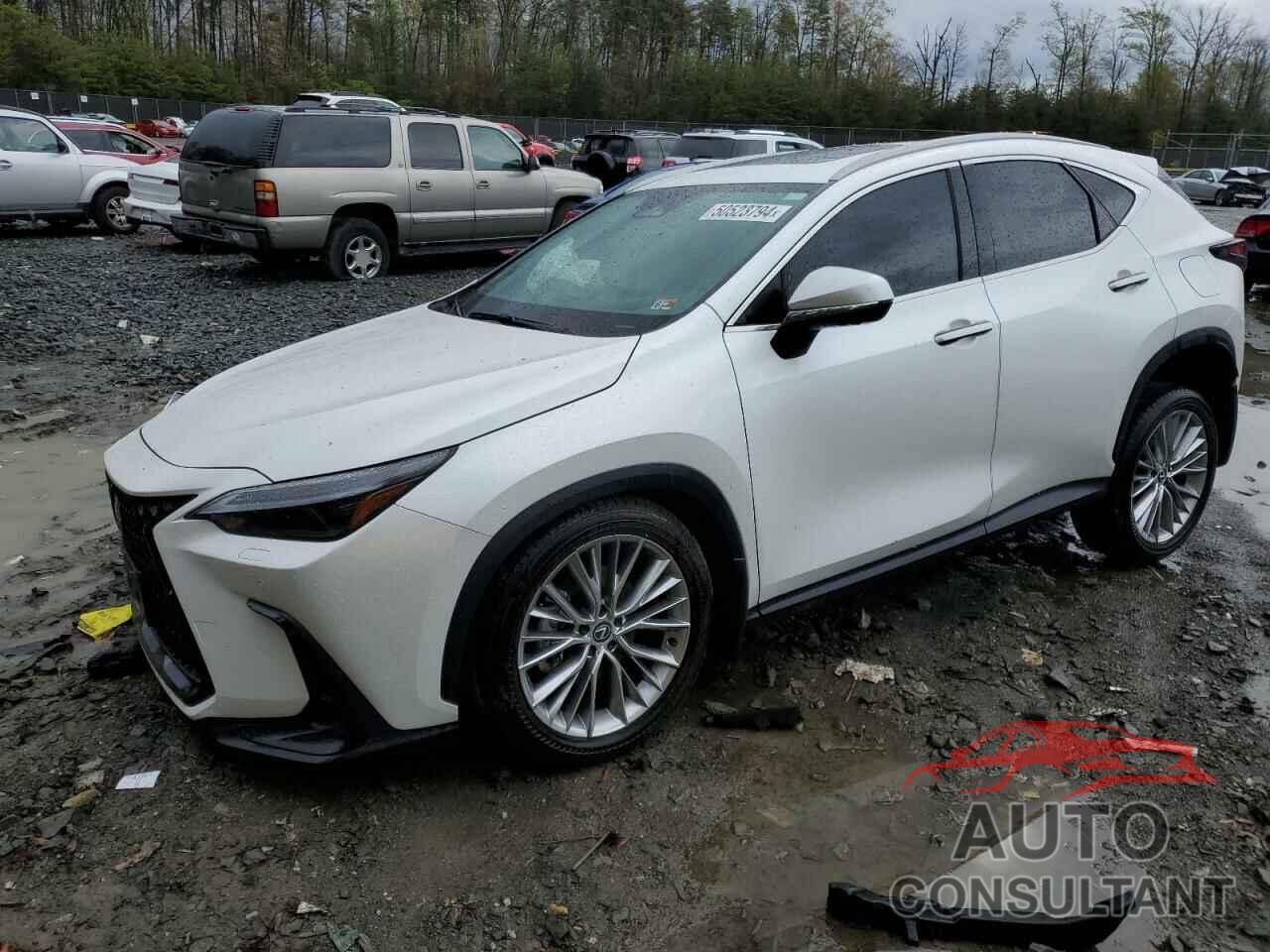 LEXUS NX 350 LUX 2024 - 2T2HGCEZ3RC035721