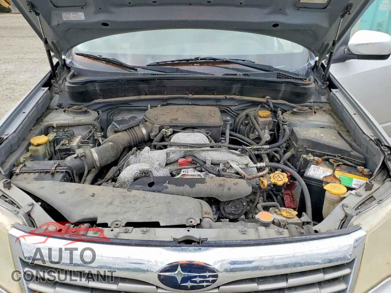 SUBARU FORESTER 2010 - JF2SH6CC7AH720992