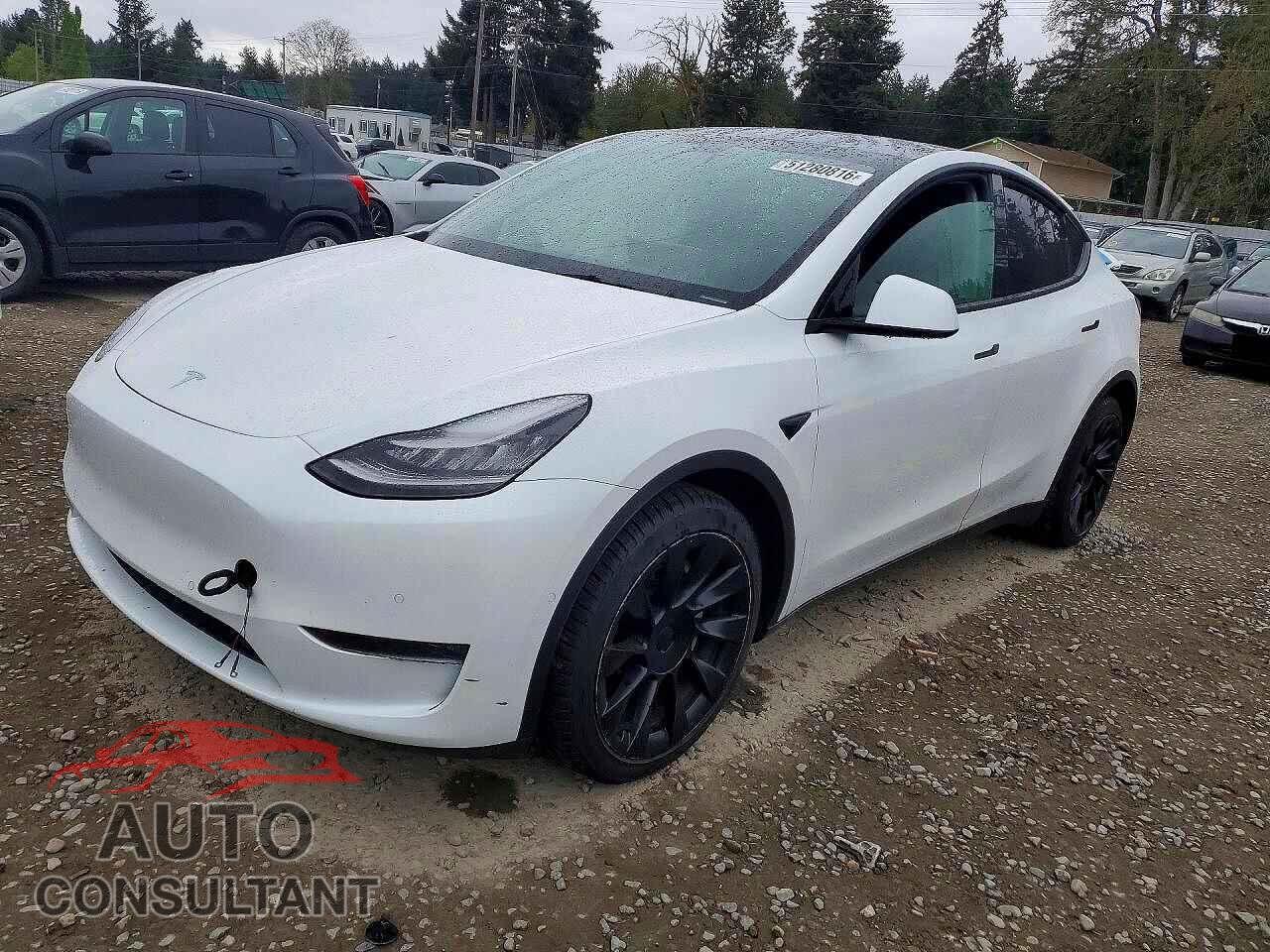 TESLA MODEL Y 2021 - 5YJYGDEE5MF097486