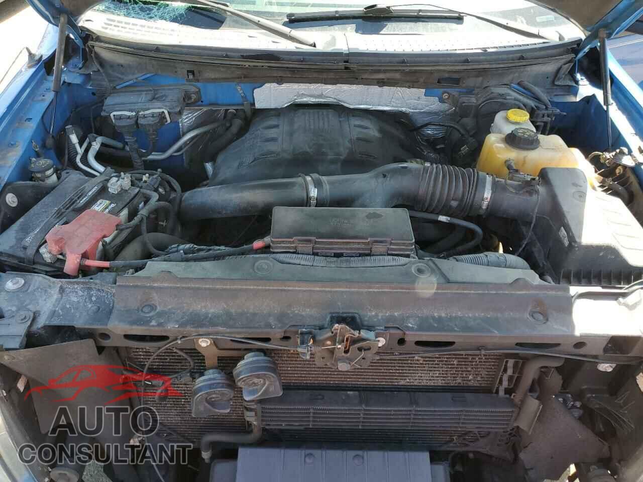 FORD F-150 2013 - 1FTFX1ET3DFD24934