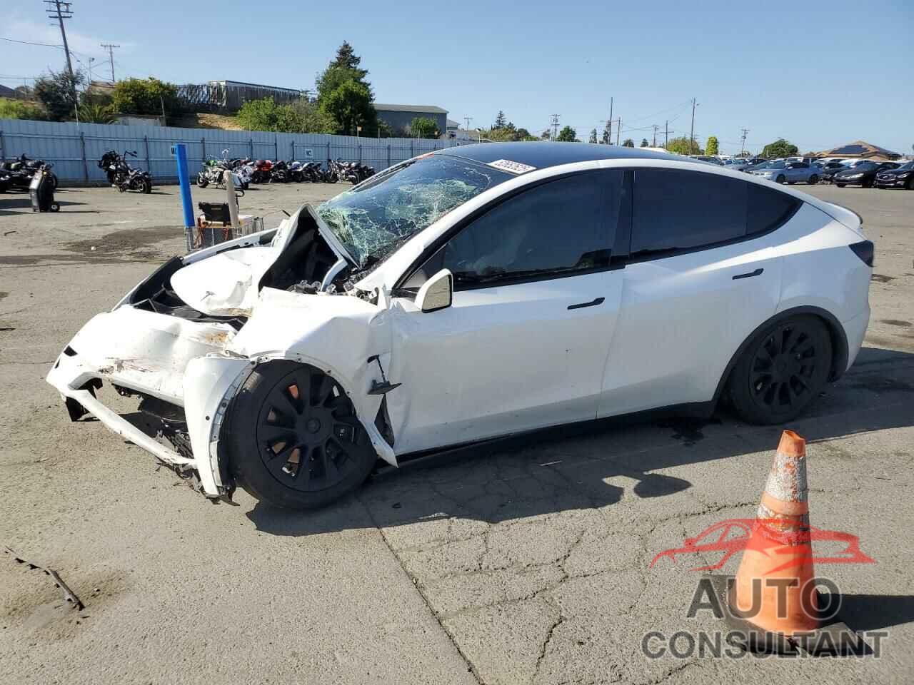 TESLA MODEL Y 2021 - 5YJYGAEE6MF143843