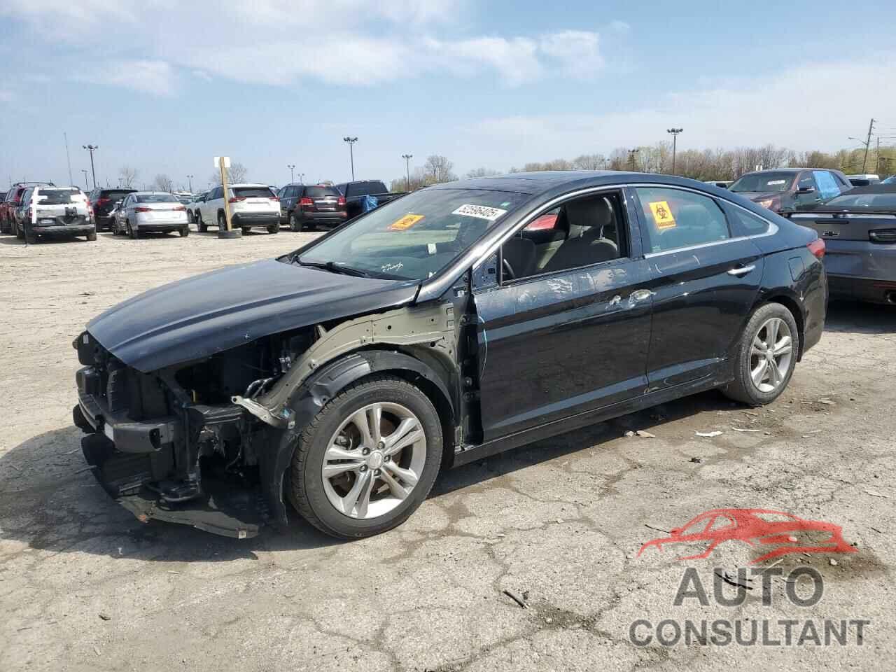 HYUNDAI SONATA 2018 - 5NPE34AF4JH693070