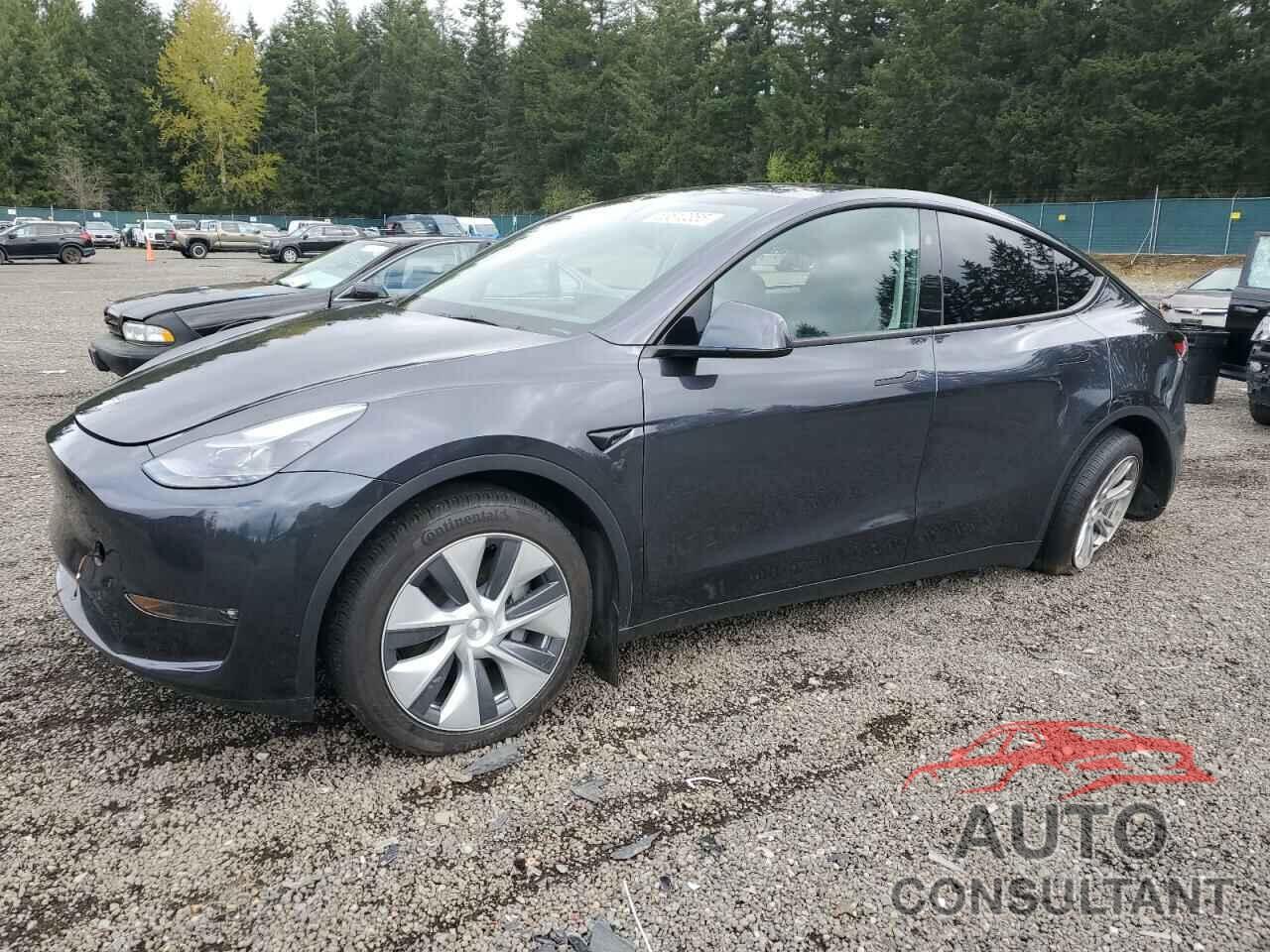 TESLA MODEL Y 2024 - 7SAYGDEE3RF072919