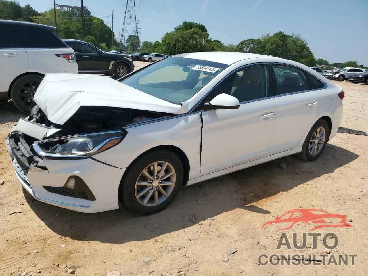 HYUNDAI SONATA 2019 - 5NPE24AF3KH789776