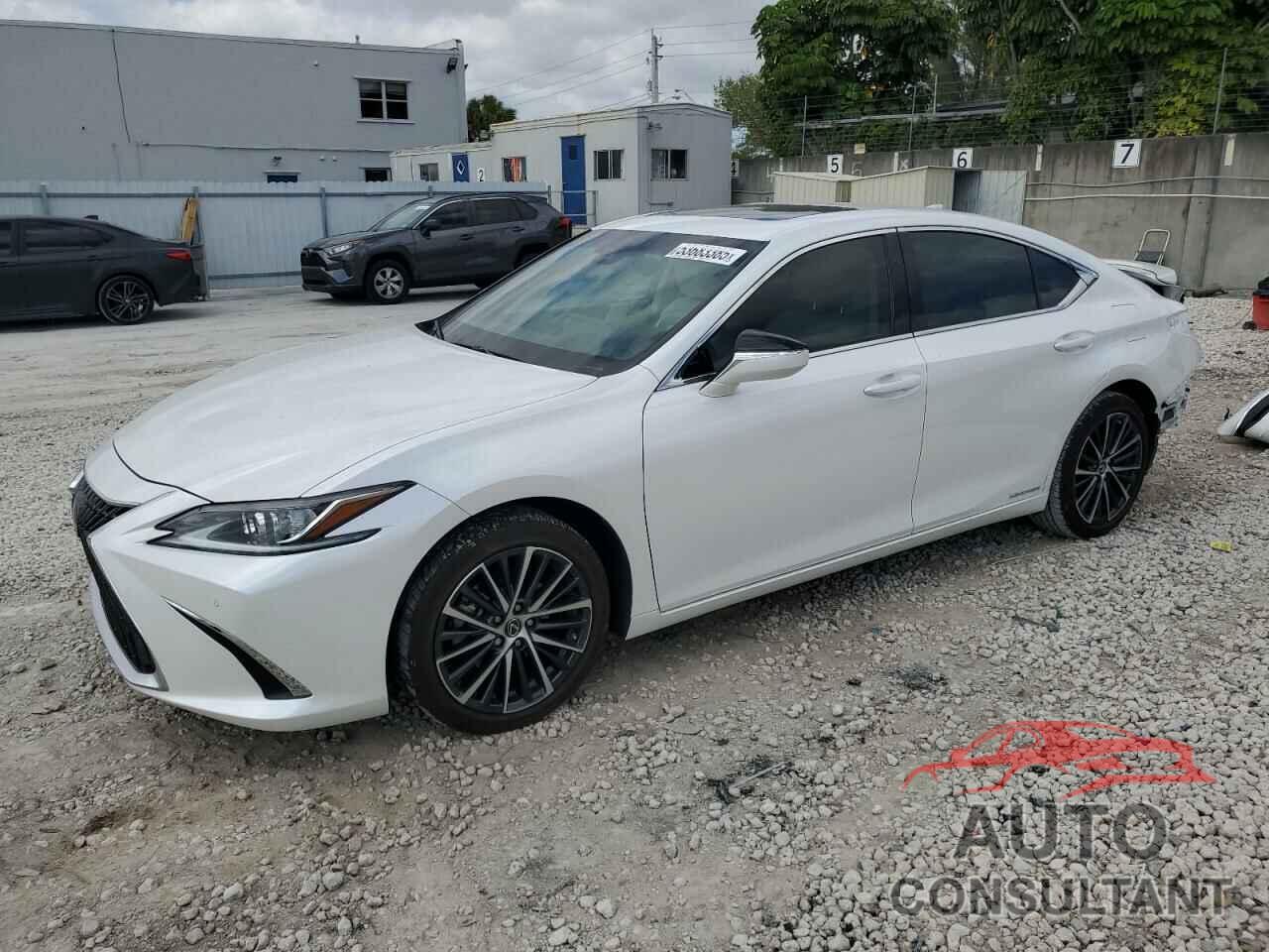 LEXUS ES300 2022 - 58ADA1C11NU024224