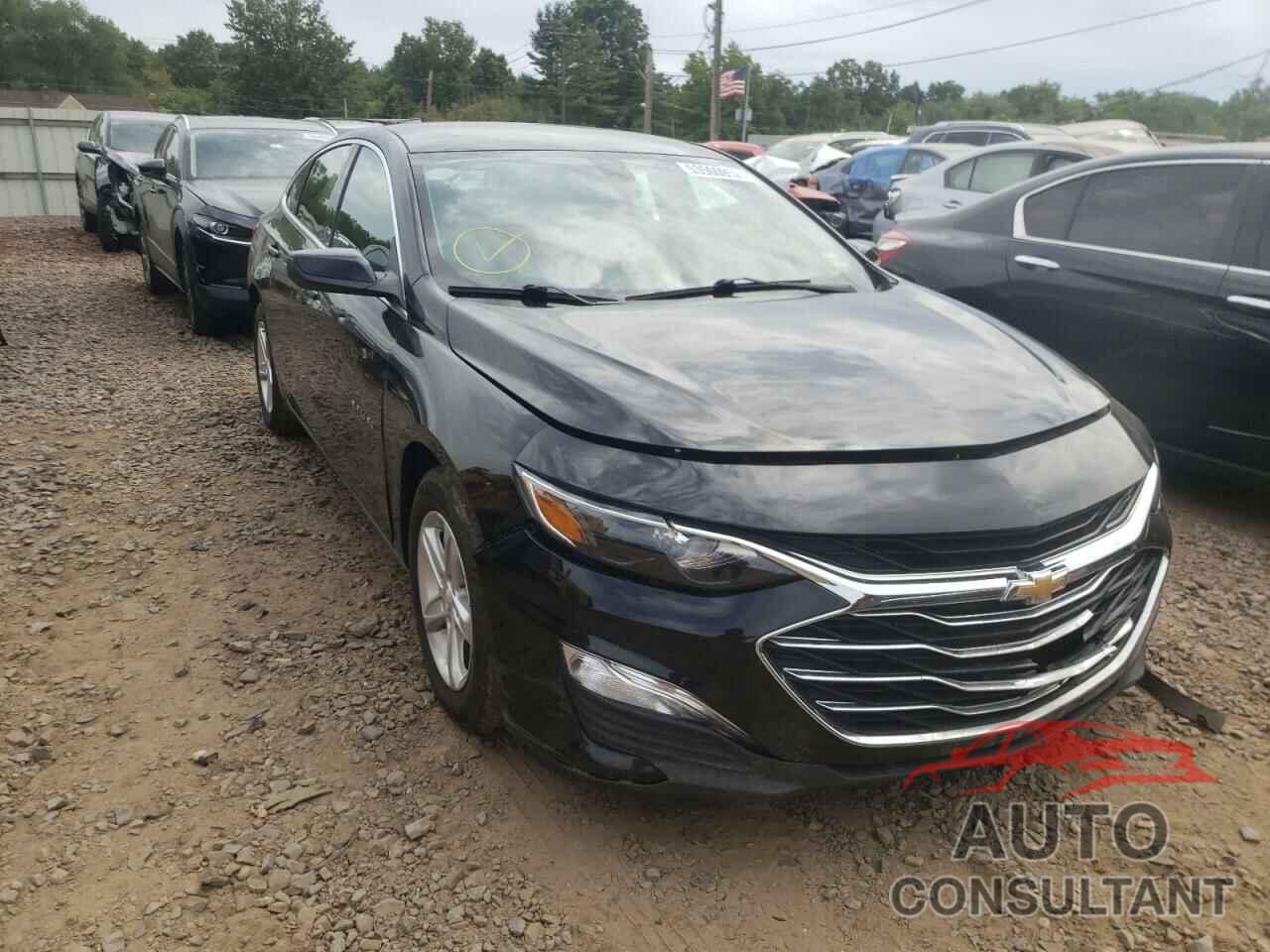 CHEVROLET MALIBU 2019 - 1G1ZC5ST9KF125039