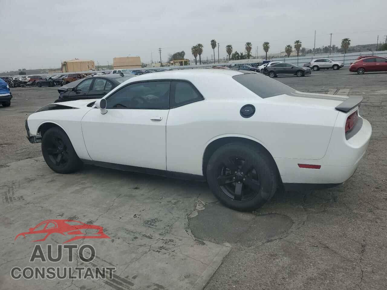 DODGE CHALLENGER 2013 - 2C3CDYAG5DH719097