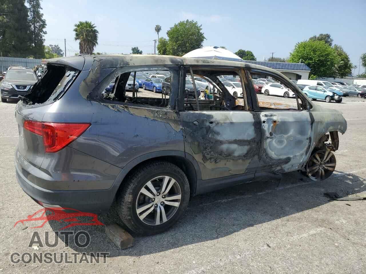 HONDA PILOT 2017 - 5FNYF5H36HB021753