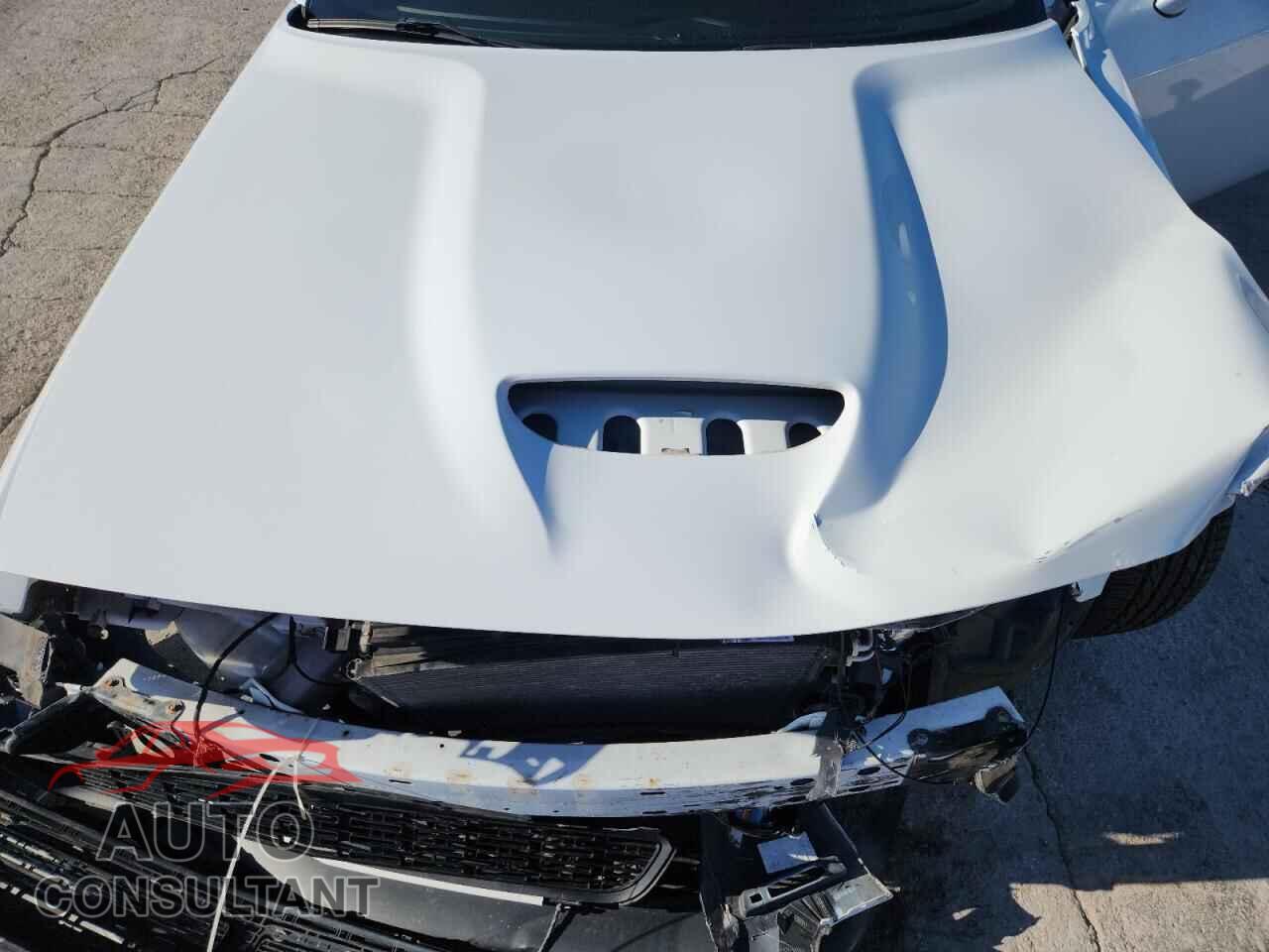 DODGE CHALLENGER 2019 - 2C3CDZBTXKH551021