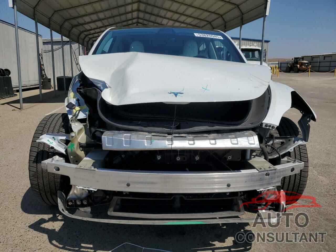 TESLA MODEL Y 2023 - 7SAYGDEF5PF744839