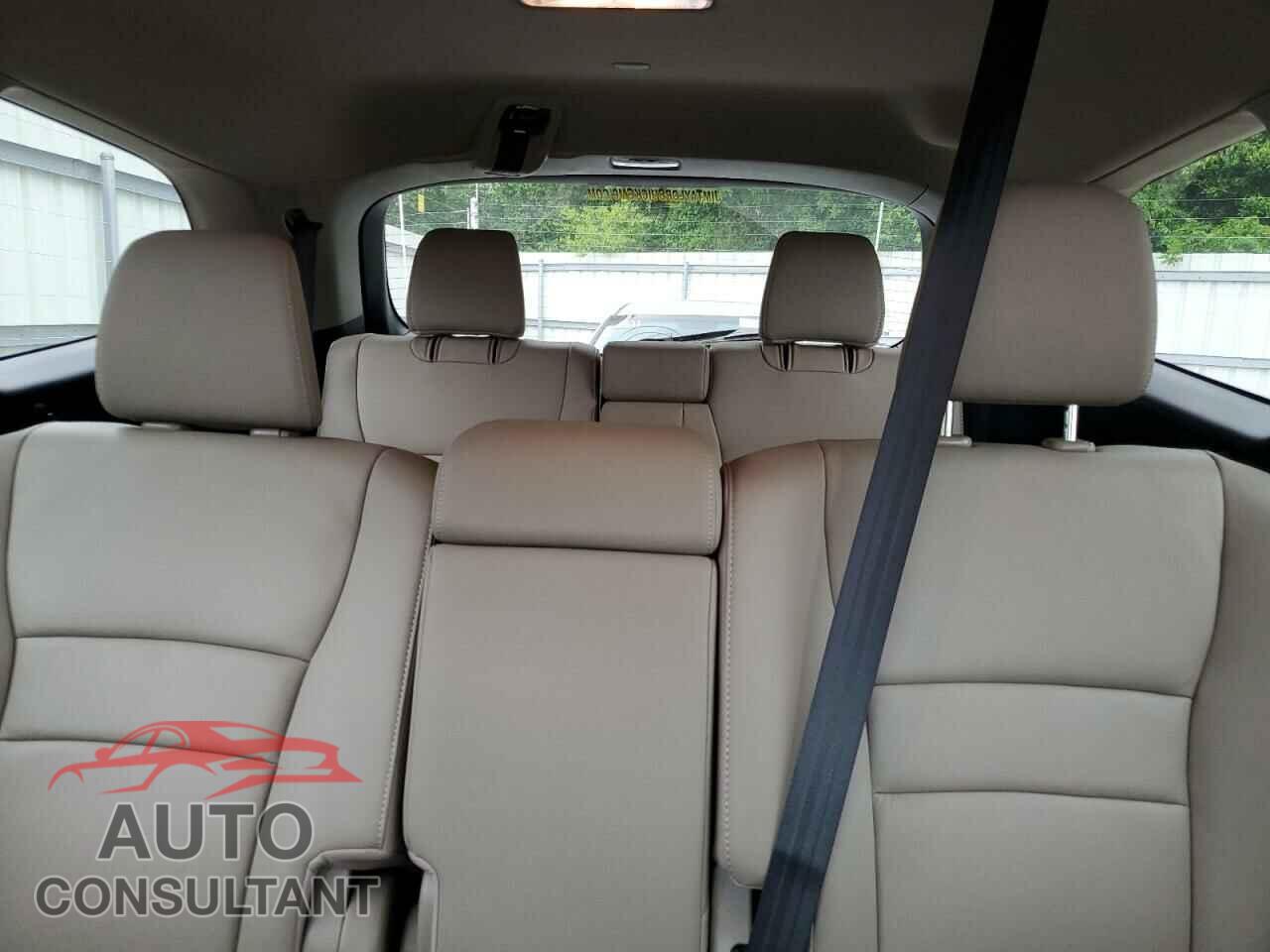 HONDA PILOT 2019 - 5FNYF5H55KB014687