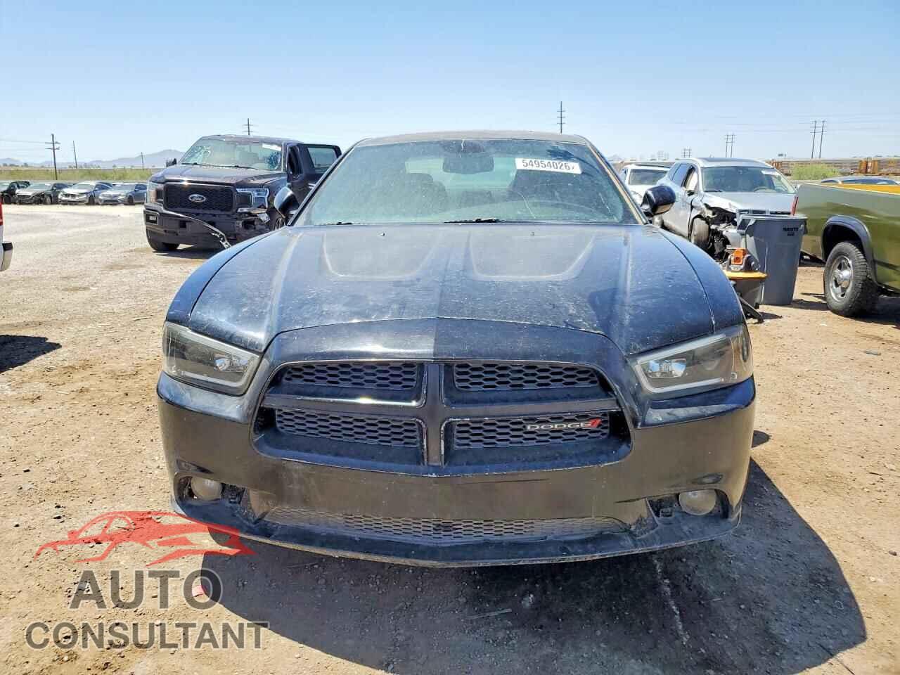 DODGE CHARGER 2014 - 2C3CDXCT9EH158991