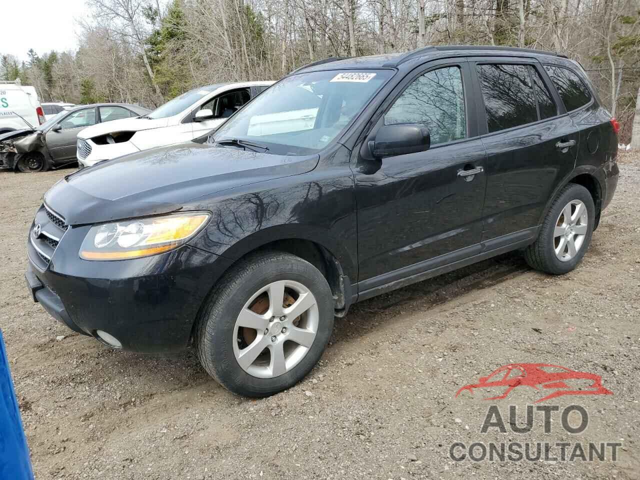 HYUNDAI SANTA FE 2009 - 5NMSH73E79H303467
