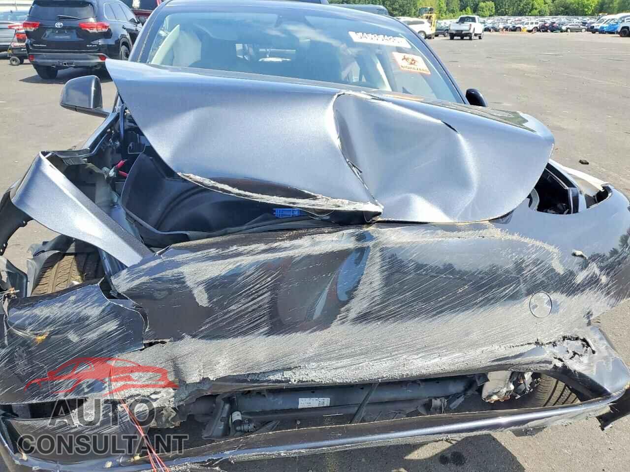 TESLA MODEL Y 2024 - 7SAYGAEE1RF982048