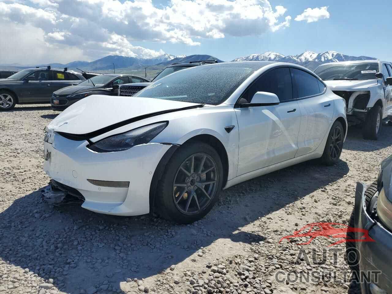 TESLA MODEL 3 2021 - 5YJ3E1EA8MF922416