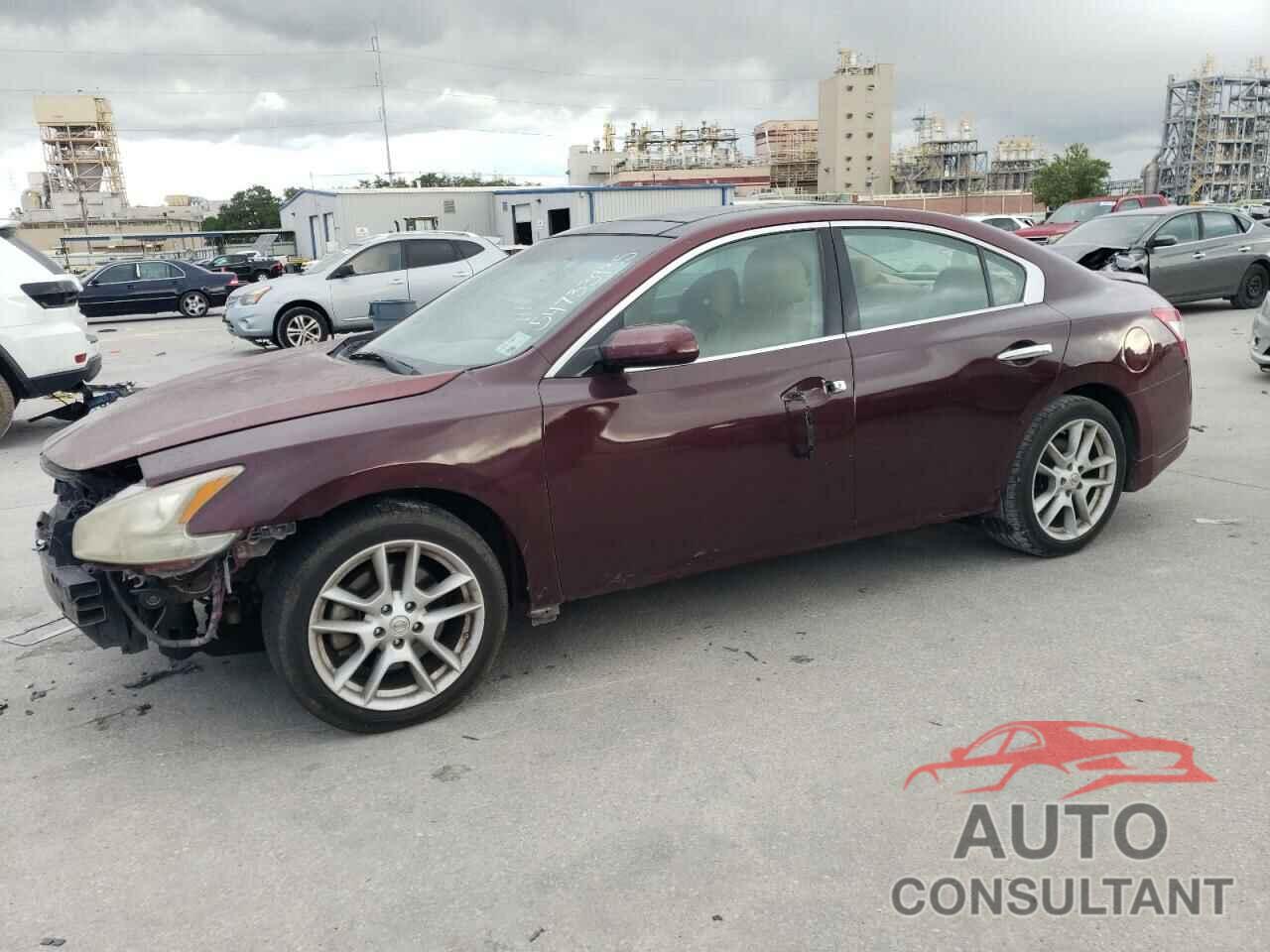 NISSAN MAXIMA 2011 - 1N4AA5AP8BC811823
