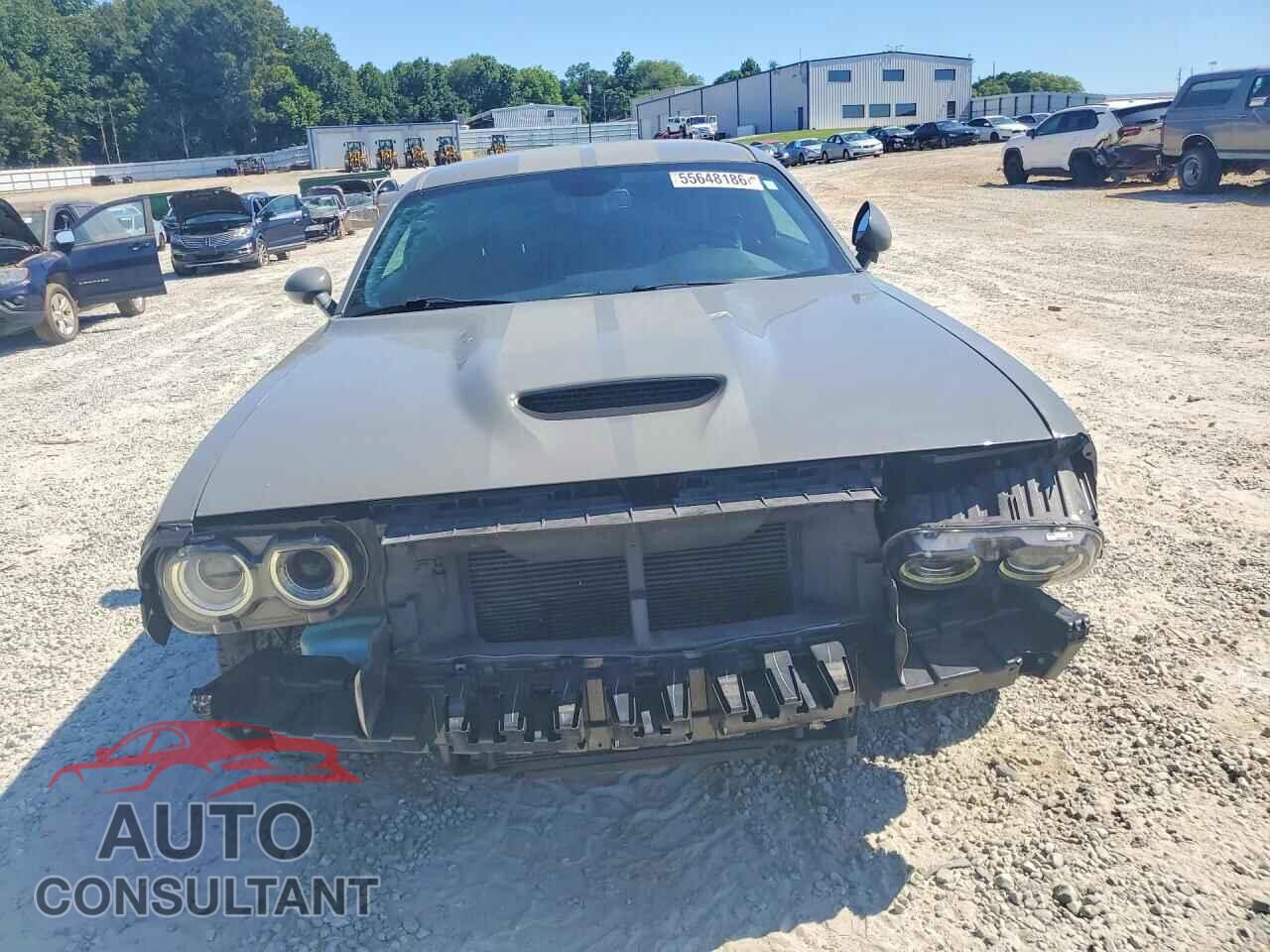 DODGE CHALLENGER 2019 - 2C3CDZJG7KH551921