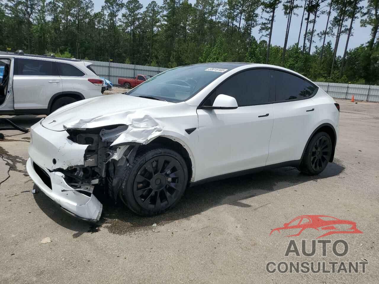 TESLA MODEL Y 2022 - 7SAYGDEE4NF535208