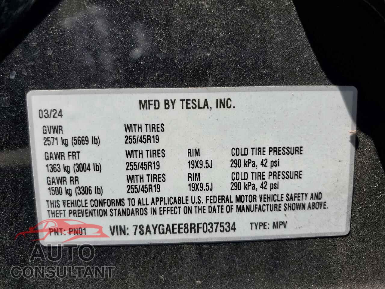 TESLA MODEL Y 2024 - 7SAYGAEE8RF037534