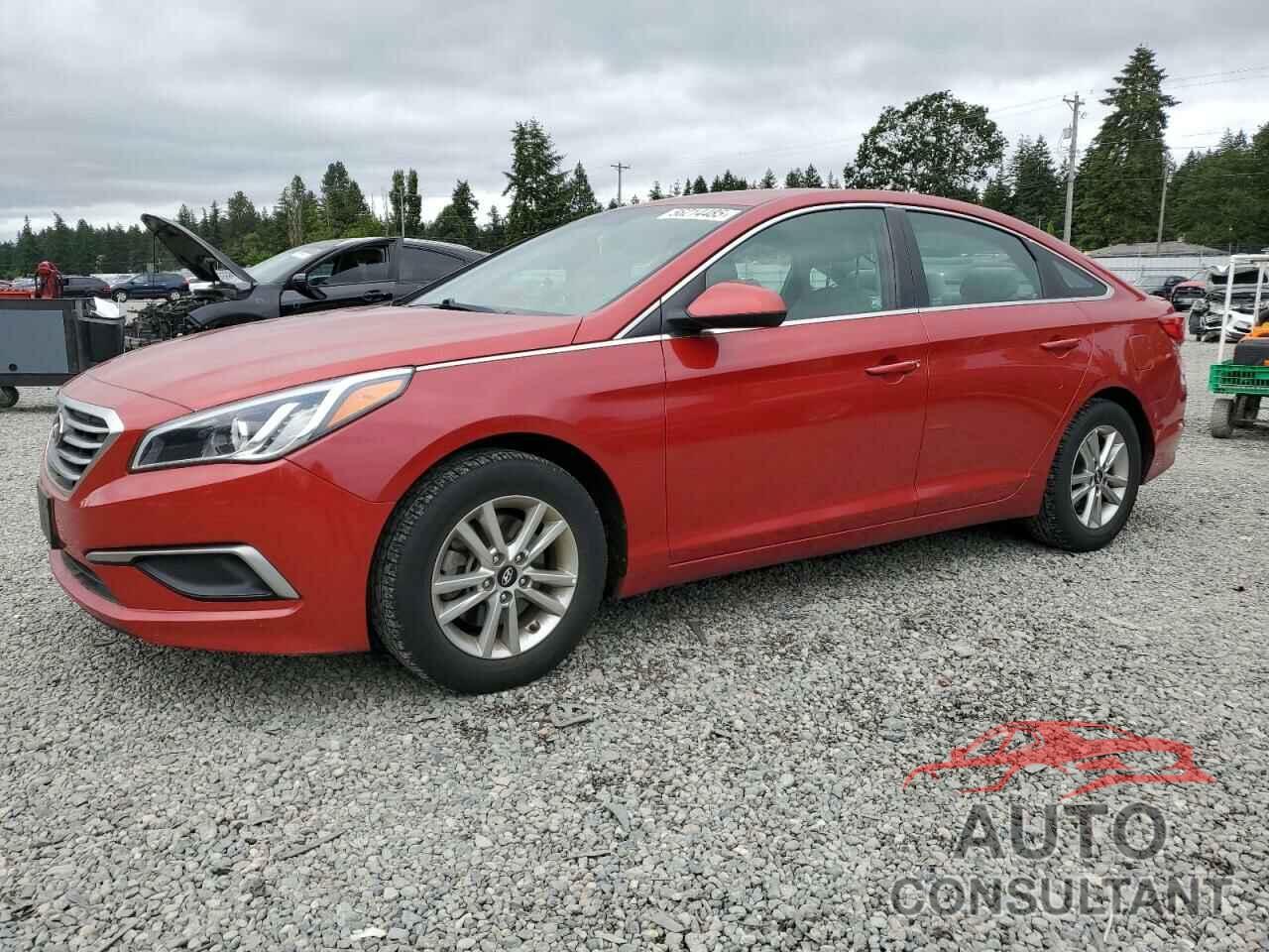 HYUNDAI SONATA 2017 - 5NPE24AF8HH544688