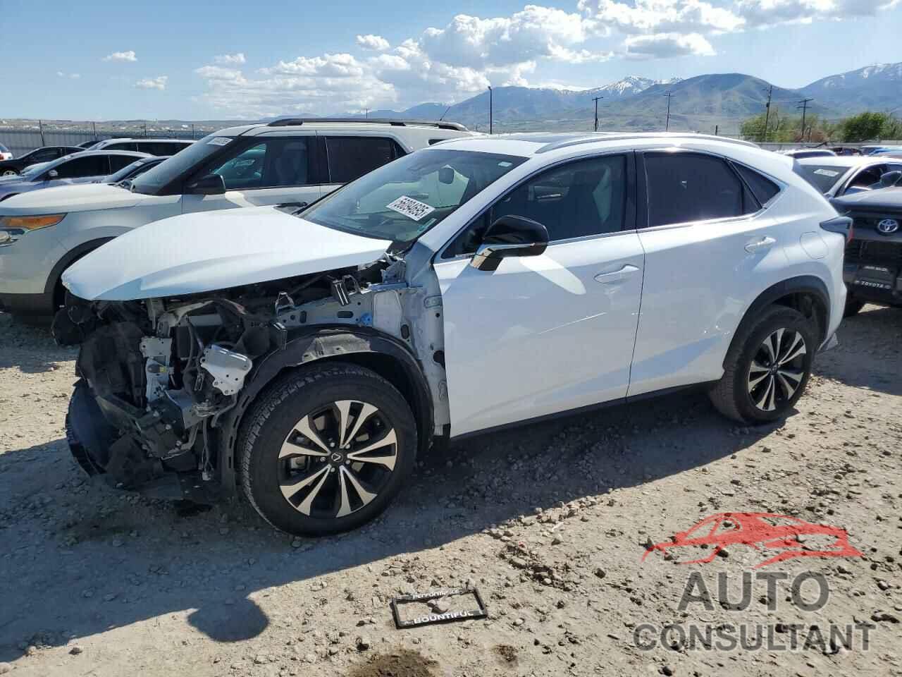 LEXUS NX 300 F S 2020 - JTJSARDZ2L5013615