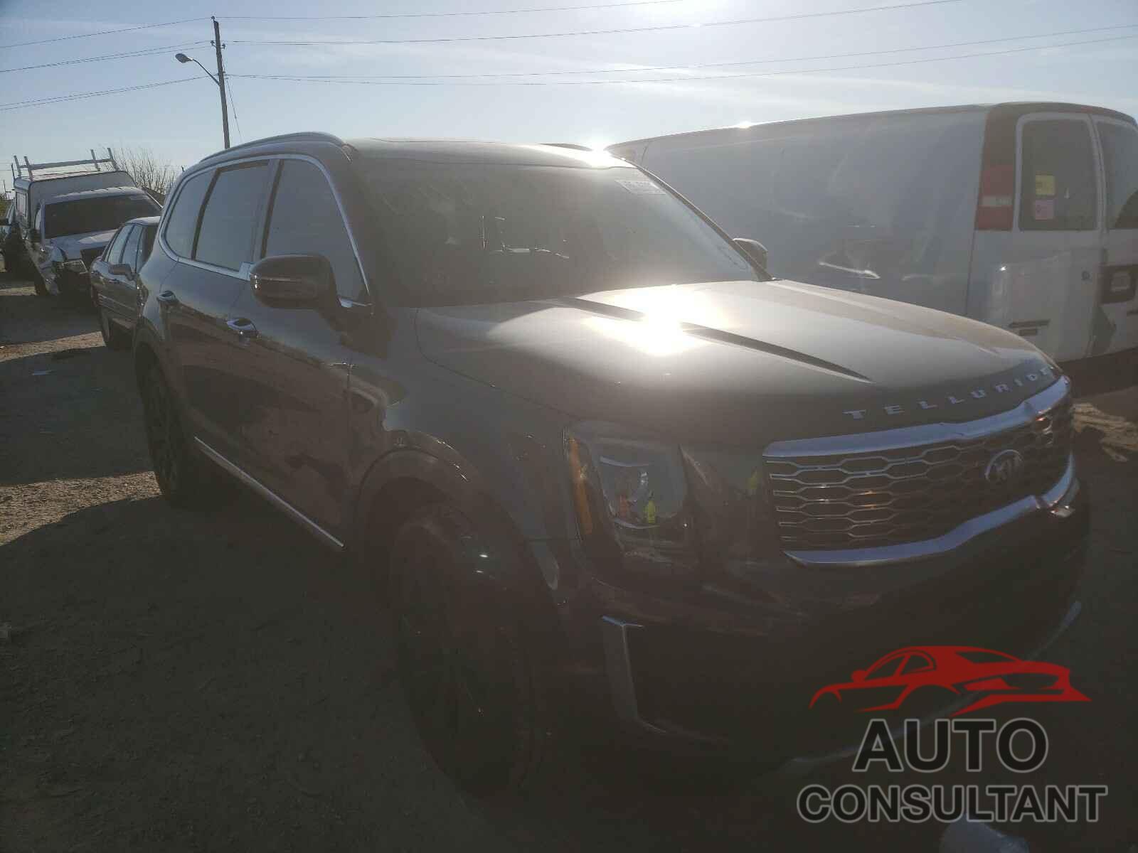 KIA TELLURIDE 2021 - 5XYP64HC2MG121289