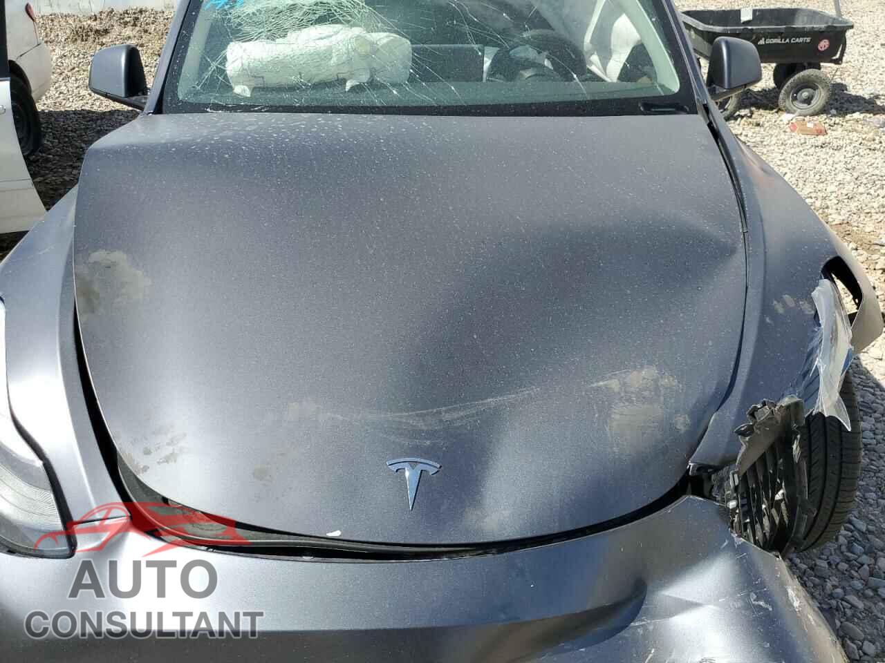 TESLA MODEL Y 2022 - 7SAYGDEF4NF516523