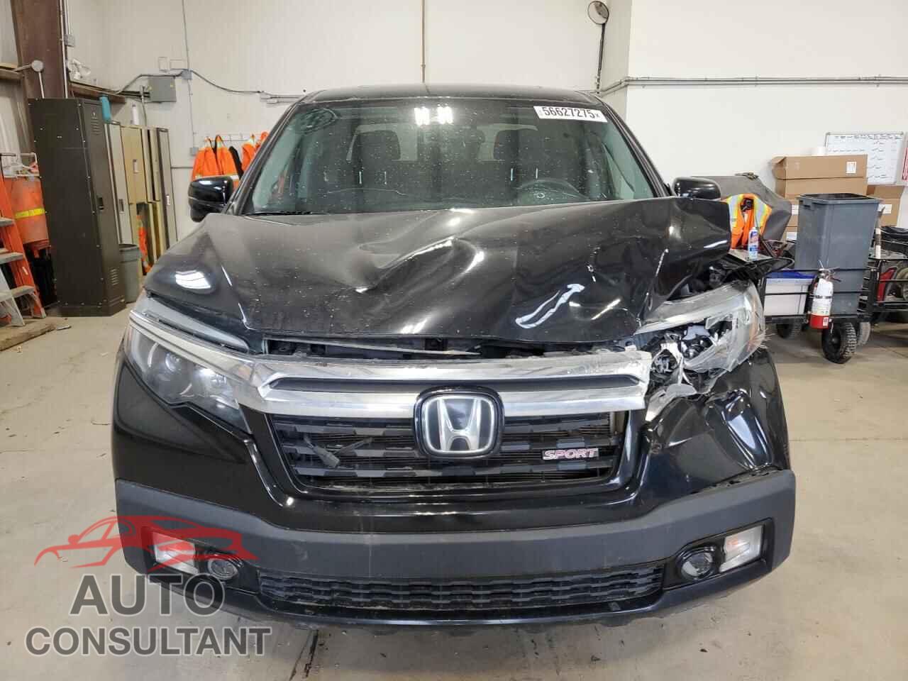 HONDA RIDGELINE 2019 - 5FPYK3F14KB506151