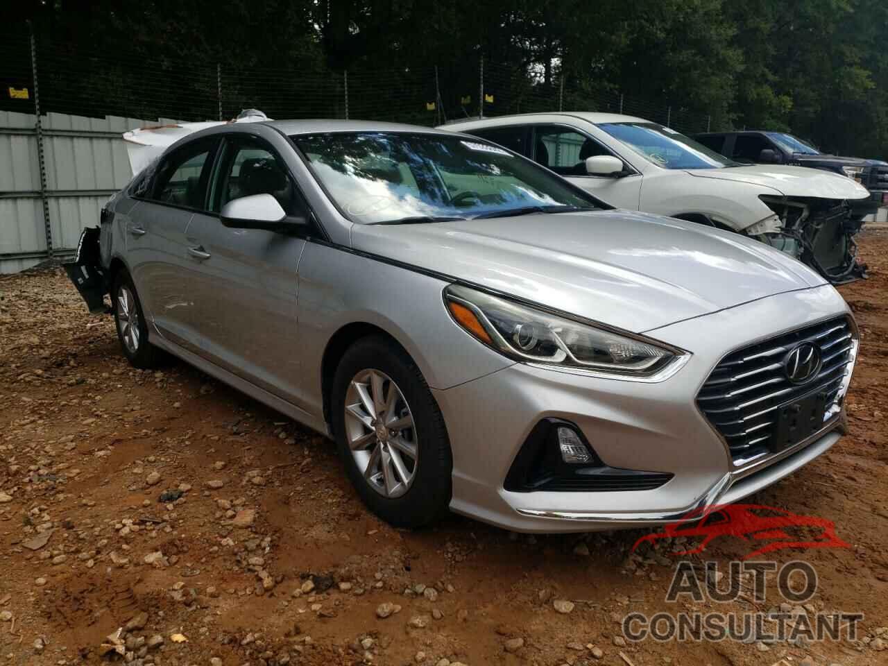 HYUNDAI SONATA 2019 - 5NPE24AF7KH769305