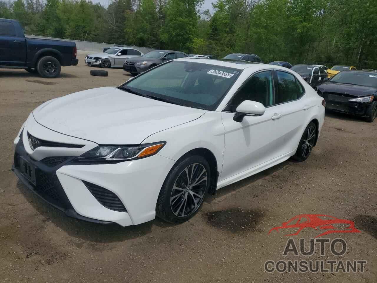 TOYOTA CAMRY 2019 - 4T1B11HK6KU777808