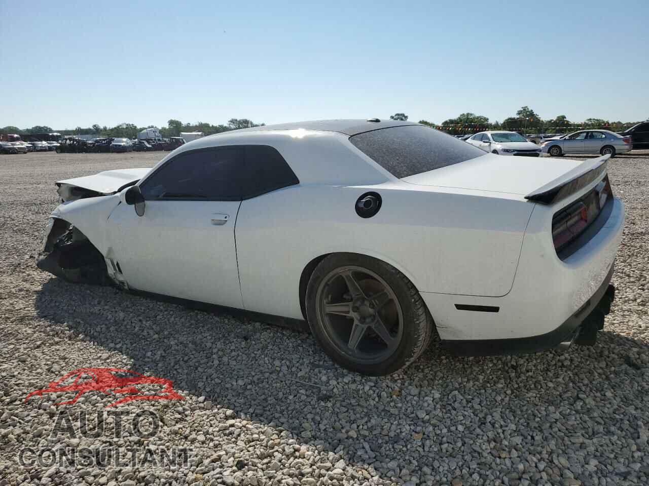 DODGE CHALLENGER 2019 - 2C3CDZBT9KH557084