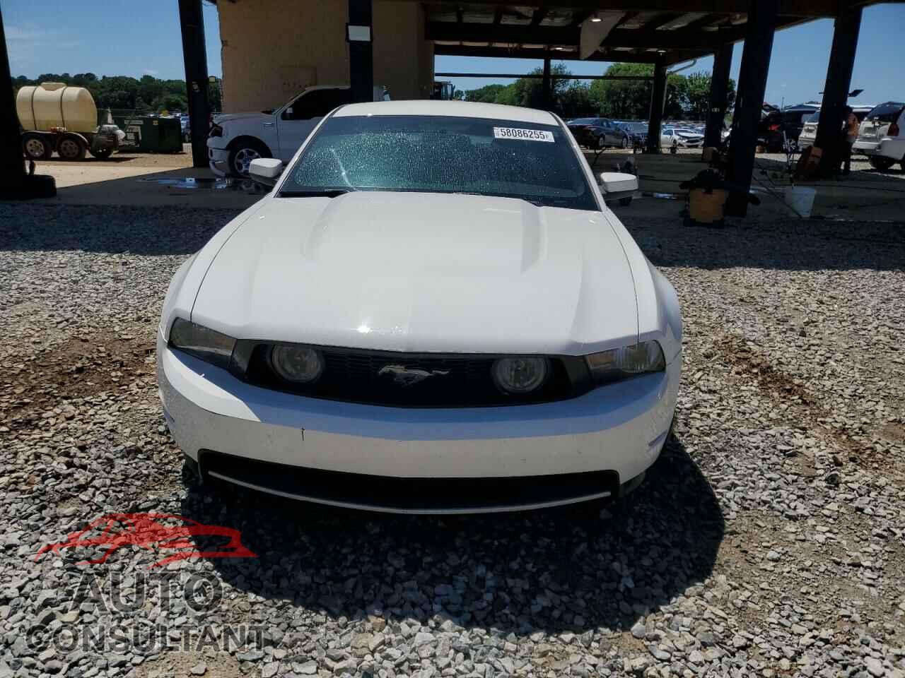 FORD MUSTANG 2012 - 1ZVBP8CF7C5268809