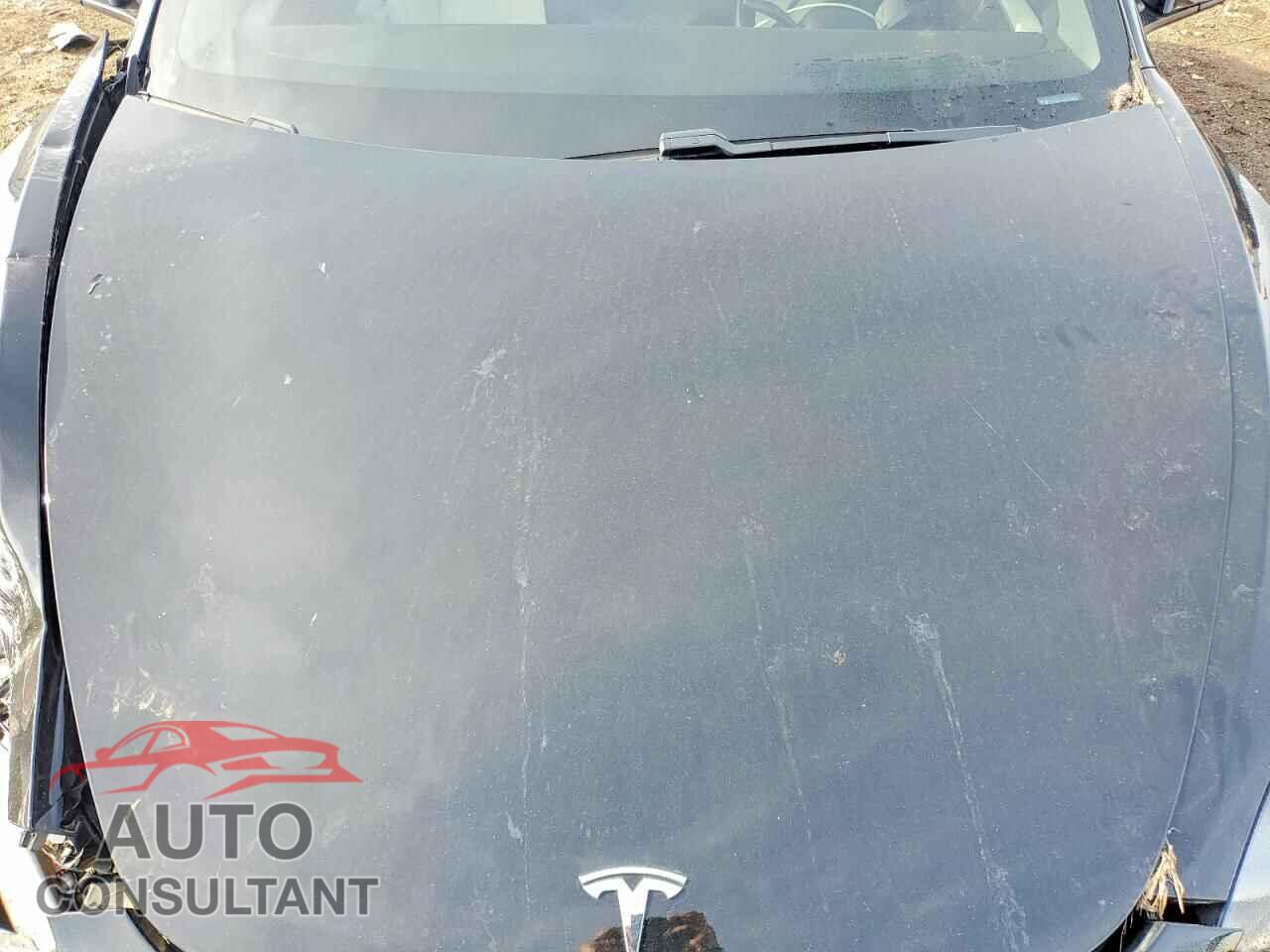TESLA MODEL 3 2021 - 5YJ3E1EA5MF019088