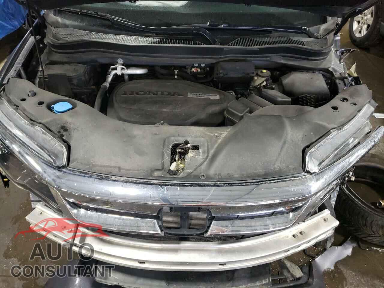HONDA PILOT 2019 - 5FNYF6H58KB073190