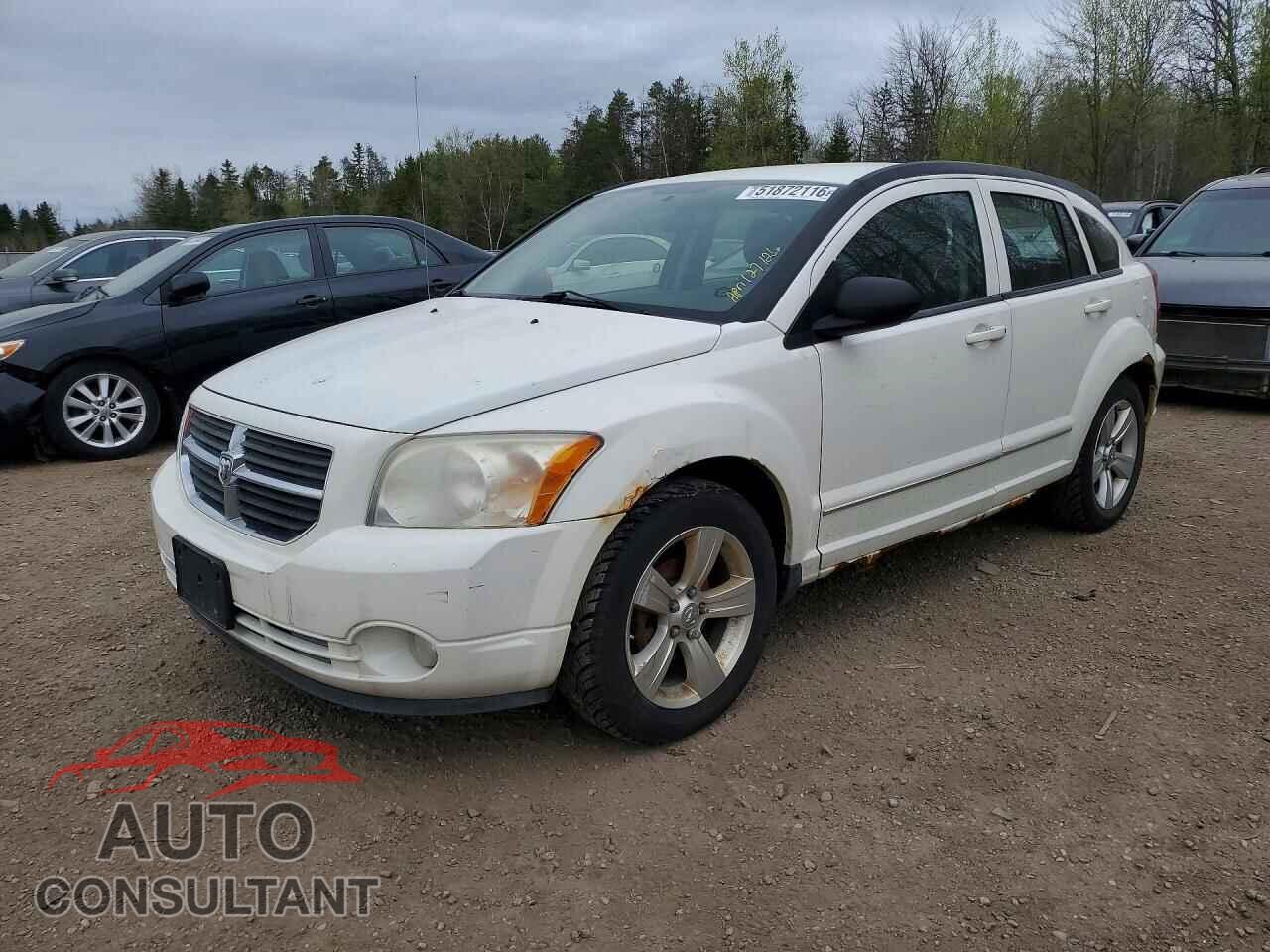 DODGE CALIBER 2010 - 1B3CB4HA2AD605919