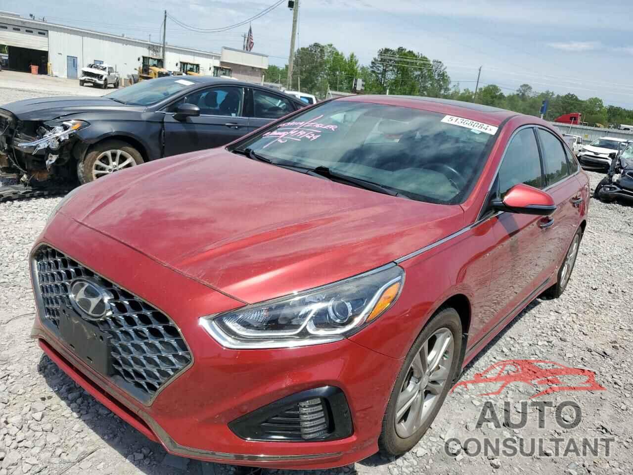 HYUNDAI SONATA 2019 - 5NPE34AF6KH813436