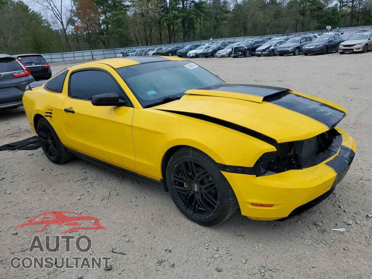 FORD MUSTANG 2013 - 1ZVBP8AMXD5260447
