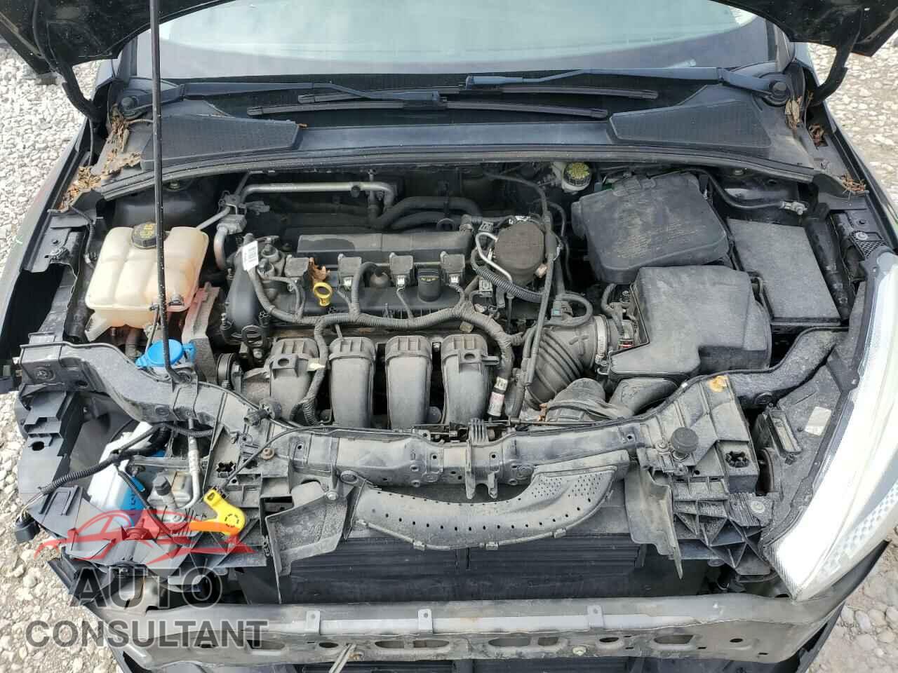 FORD FOCUS 2015 - 1FADP3E24FL218125